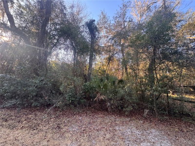 198TH Lane, Fort Mc Coy, FL, 32134 — photo 2