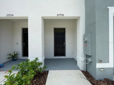 32930 REGENT CANAL Street, Wesley Chapel, FL, 33545 — photo 2