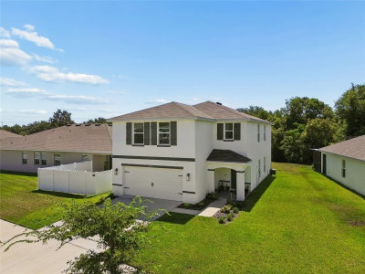 13756 WHISKEY DAISY Drive, Dade City, FL, 33525 — photo 2