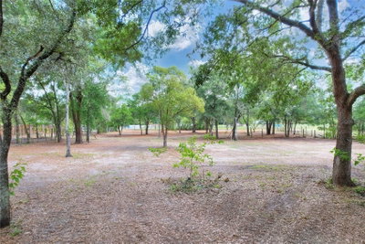 11000 KITTEN Trail, Hudson, FL, 34669 — photo 2