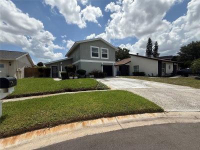 10009 REGAL WOODS Lane, Tampa, FL, 33624 — photo 2
