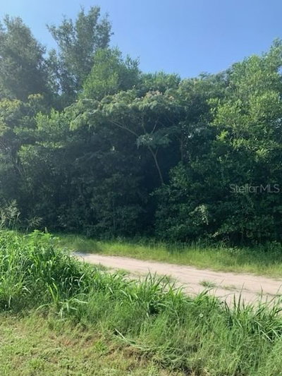 TBD 145TH Place, Summerfield, FL, 34491 — photo 2