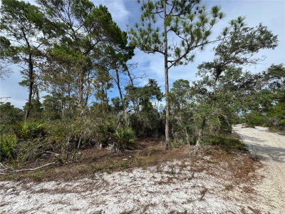 2117 GARDENIA Terrace, Sebring, FL, 33875 — photo 2