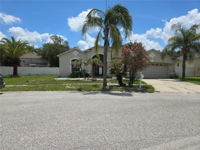 4106 BALINGTON Drive, Valrico, FL, 33596 — photo 2