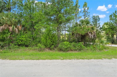 RAMSEY Road, Weeki Wachee, FL, 34614 — photo 2