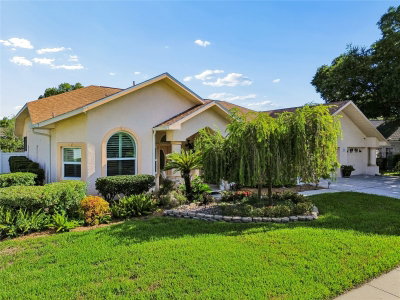 9002 TARAWYND CT, Odessa, FL, 33556 — photo 2