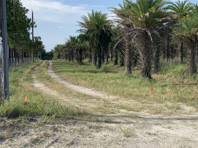 DAN BROWN HILL Road, Brooksville, FL, 34602 — photo 2