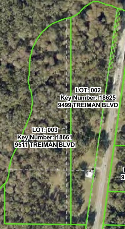 9499 TREIMAN Boulevard, Webster, FL, 33597 — photo 2
