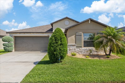 11803 BLACKEYED SUSAN Drive, Riverview, FL, 33579 — photo 2