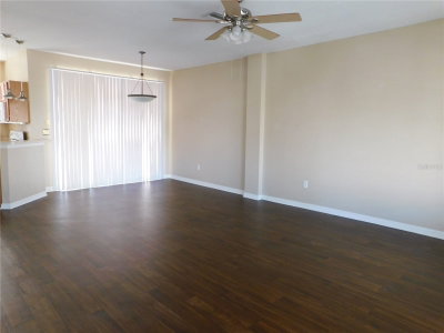 12450 COUNTRY WHITE Circle, Tampa, FL, 33635 — photo 2