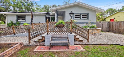 3087 DUANE Avenue, Oldsmar, FL, 34677 — photo 2