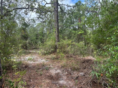 18379 THOMAS Boulevard, Hudson, FL, 34667 — photo 2