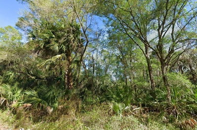 Crystal River, FL, 34428 — photo 2