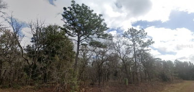 CRIDER Road, Weeki Wachee, FL, 34614 — photo 2