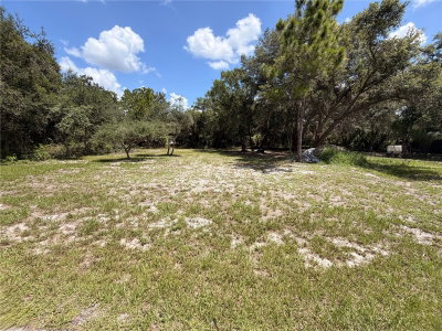 19128 WILLARD Avenue, Port Charlotte, FL, 33954 — photo 2