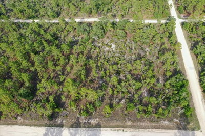 0000 131 TERRACE LOT 6 Terrace, Williston, FL, 32696 — photo 2