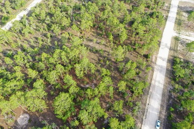 0000 131 LOT 8 Terrace, Williston, FL, 32696 — photo 2