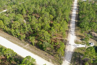 0000 131 LOT 10 Terrace, Williston, FL, 32696 — photo 2