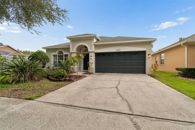 19029 CHEMILLE Drive, Lutz, FL, 33558 — photo 2