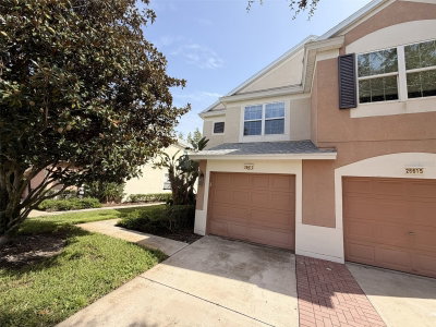 26613 CASTLEVIEW Way, Wesley Chapel, FL, 33544 — photo 2