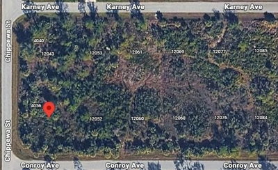 12042 CONROY AVE, Port Charlotte, FL, 33981 — photo 2