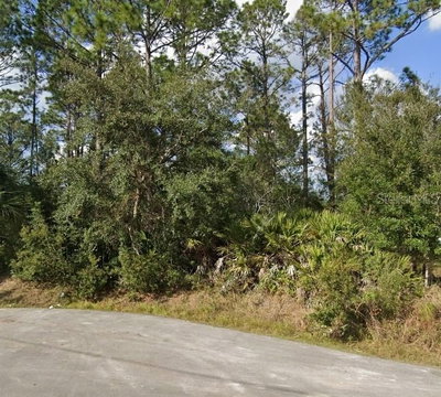 16 SLEEPING BEAUTY Place, Palm Coast, FL, 32164 — photo 2