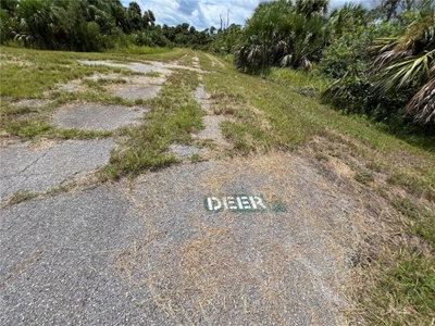DEER PL, North Port, FL, 34288 — photo 2