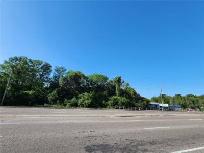 SR 54, New Port Richey, FL, 34655 — photo 2