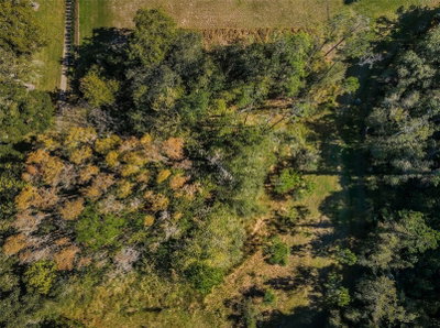 4445 LANSBROOK Parkway, Palm Harbor, FL, 34685 — photo 2