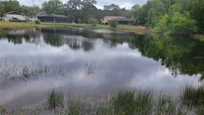 RABBIT Drive, New Port Richey, FL, 34654 — photo 2