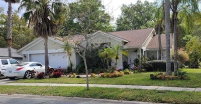 24449 PAINTER Drive, Land O Lakes, FL, 34639 — photo 2