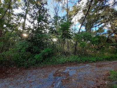 BLUE RIDGE Avenue, Orange City, FL, 32763 — photo 2