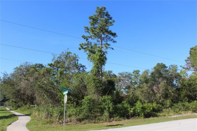 3145 YORKSHIRE Drive, Deltona, FL, 32738 — photo 2