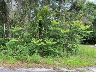 WILSON Avenue, Deland, FL, 32720 — photo 2