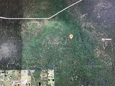 PARCEL 28 17 31 02 12 0260, Lake Helen, FL, 32744 — photo 2