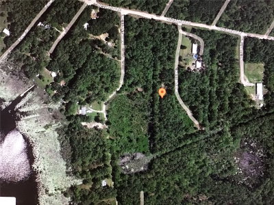PARCEL 0013003044, Fort Mc Coy, FL, 32134 — photo 2