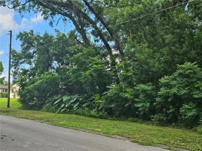 CARPENTER Avenue, Orange City, FL, 32763 — photo 2