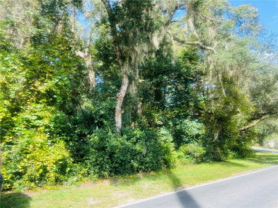 1215 ARREDONDO GRANT Road, De Leon Springs, FL, 32130 — photo 2