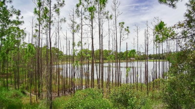Deltona, FL, 32738 — photo 2
