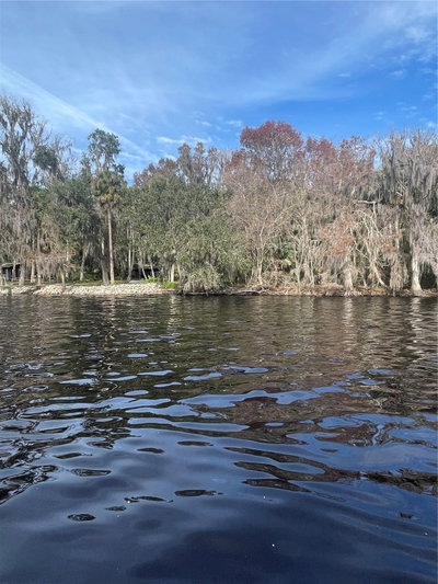 233 STELLA Road, Georgetown, FL, 32139 — photo 2
