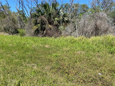PARCEL 27 15 30 00 00 0160, De Leon Springs, FL, 32130 — photo 2
