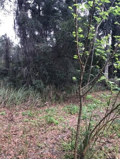 260 MERCERS FERNERY Road, Deland, FL, 32720 — photo 2