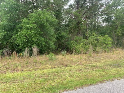 525 LIVE OAK Loop, Crescent City, FL, 32112 — photo 2