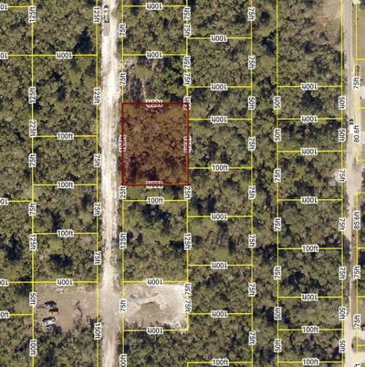 WALDOR Avenue, Orange City, FL, 32763 — photo 2