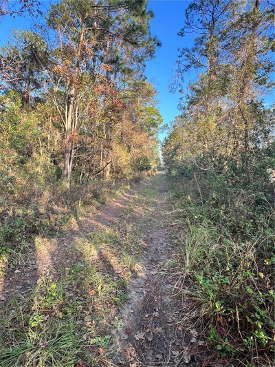UNIVERSITY HIGHLANDS/ DELAND CROSSINGS, Deland, FL, 32724 — photo 2