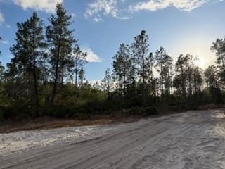 880 STILL Road, Pierson, FL, 32180 — photo 2