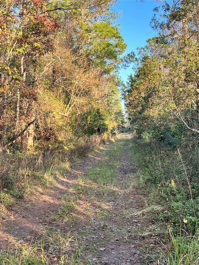 UNIVERSITY HIGHLANDS/ DELAND CROSSINGS, Deland, FL, 32724 — photo 2