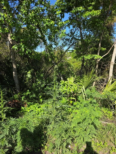 226 WALNUT Avenue, Orange City, FL, 32763 — photo 2