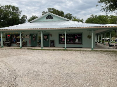 360 LAKEVIEW Drive, Lake Helen, FL, 32744 — photo 2