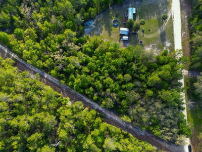 LAKE MAREGARET Boulevard, Pomona Park, FL, 32181 — photo 2